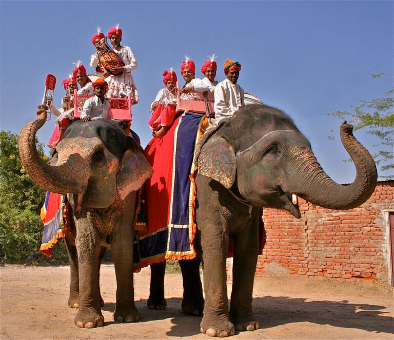 Elephant - IMG_5310_retouched_v1