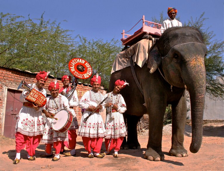 Elephant - IMG_5386_retouched_v1jpg